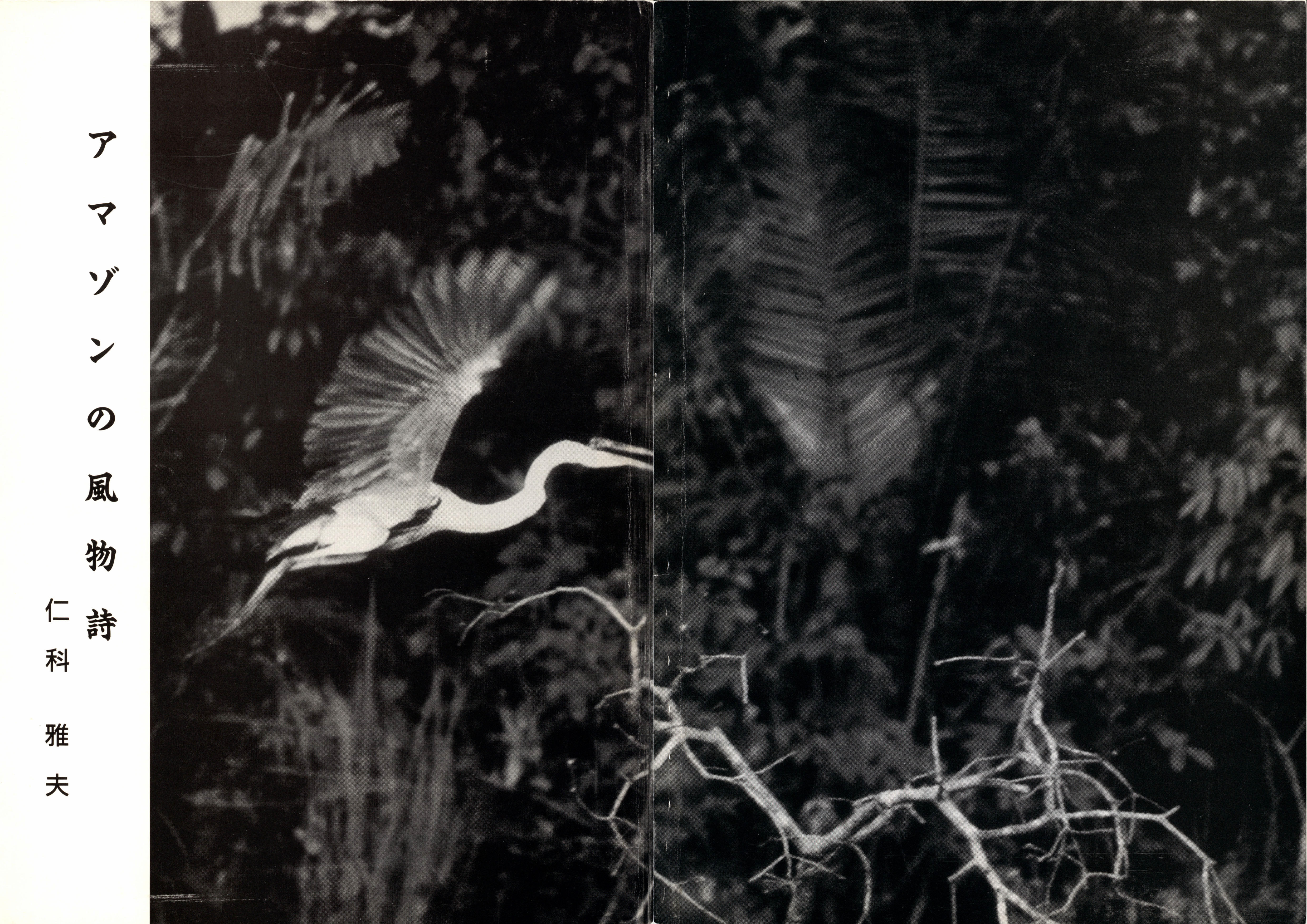 アマゾンの風物詩の表紙