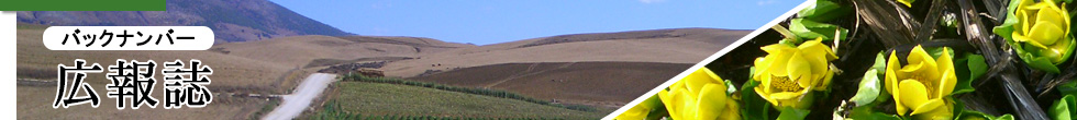 バックナンバー：広報誌